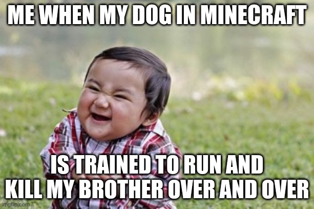 true story | ME WHEN MY DOG IN MINECRAFT; IS TRAINED TO RUN AND KILL MY BROTHER OVER AND OVER | image tagged in memes,evil toddler | made w/ Imgflip meme maker