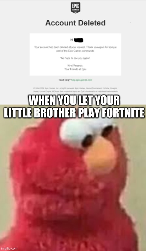 Elmo knew | WHEN YOU LET YOUR LITTLE BROTHER PLAY FORTNITE | image tagged in funny memes | made w/ Imgflip meme maker