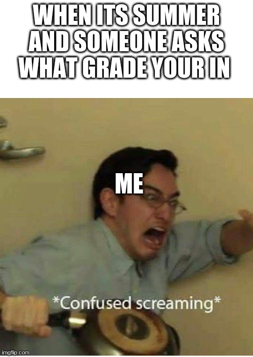 confused screaming | WHEN ITS SUMMER AND SOMEONE ASKS WHAT GRADE YOUR IN; ME | image tagged in confused screaming | made w/ Imgflip meme maker