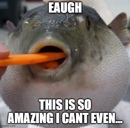 beaugy...ooops...sry....meant to say beauty...lmao | EAUGH; THIS IS SO AMAZING I CANT EVEN... | image tagged in pufferfish eating carrot | made w/ Imgflip meme maker