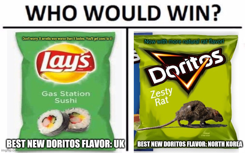 Best chip flavors! | Don't worry. It smells way worse than it tastes. You'll get used to it! Now with more natural rat flavor! BEST NEW DORITOS FLAVOR: UK; BEST NEW DORITOS FLAVOR: NORTH KOREA | image tagged in memes,who would win,chips,fake,junk food,doritos | made w/ Imgflip meme maker