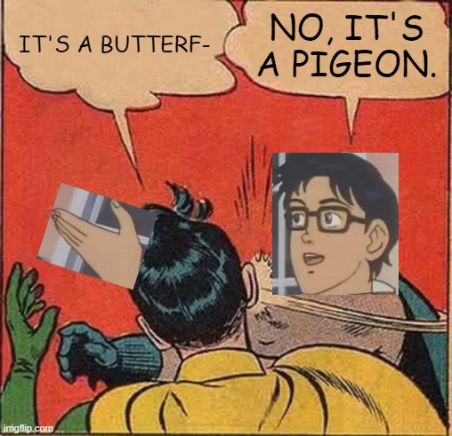 Leave him alone, Robin. | IT'S A BUTTERF-; NO, IT'S A PIGEON. | image tagged in memes,batman slapping robin,is this a pigeon | made w/ Imgflip meme maker