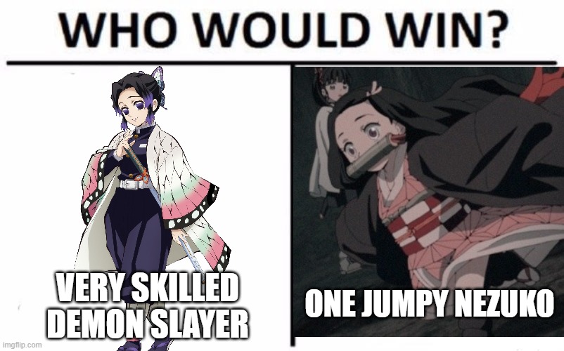 who would win | ONE JUMPY NEZUKO; VERY SKILLED DEMON SLAYER | image tagged in memes,who would win | made w/ Imgflip meme maker