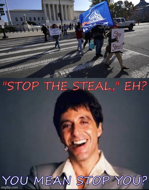 Trump's trying to steal the election; election officials, judges, and the rest of us are stopping him and his goonies. | "STOP THE STEAL," EH? YOU MEAN STOP YOU? | image tagged in stop the steal,al pacino scarface,election 2020,2020 elections,conservative hypocrisy,conservative logic | made w/ Imgflip meme maker