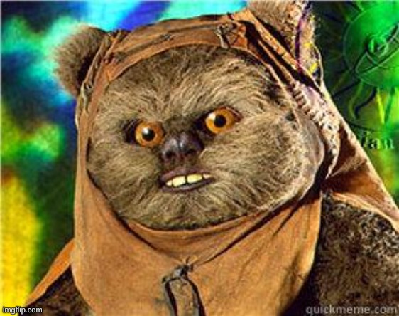 rape ewok | image tagged in rape ewok | made w/ Imgflip meme maker