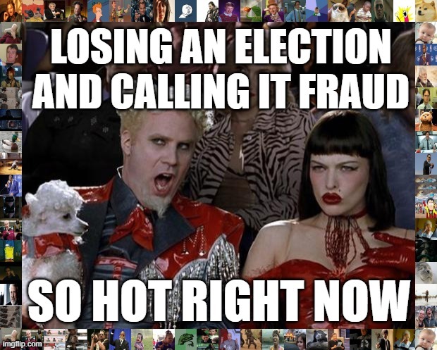 [you may have seen one or two right-wing memes on ImgFlip about this topic] | image tagged in voter fraud,election 2020,2020 elections,rigged elections,right wing,conservative logic | made w/ Imgflip meme maker