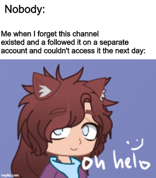 Nobody:; Me when I forget this channel existed and a followed it on a separate account and couldn't access it the next day: | made w/ Imgflip meme maker