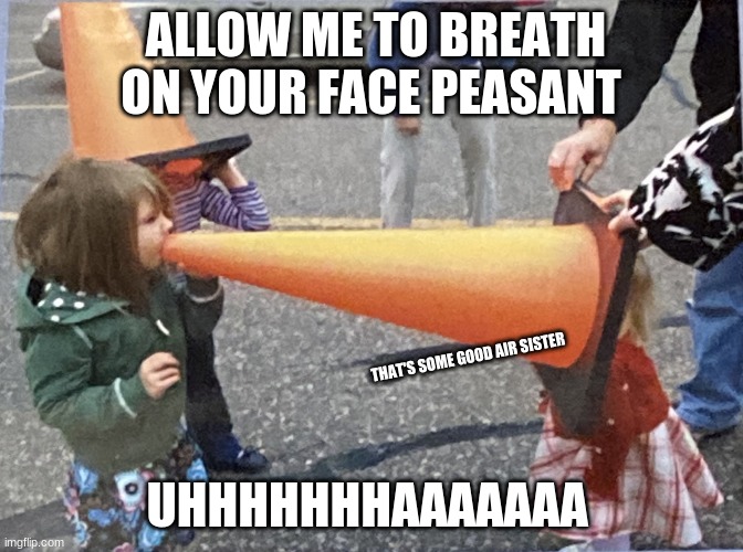 Just making a meme or a childhood photo | ALLOW ME TO BREATH ON YOUR FACE PEASANT; THAT'S SOME GOOD AIR SISTER; UHHHHHHHAAAAAAA | image tagged in children,idk,this is my life | made w/ Imgflip meme maker
