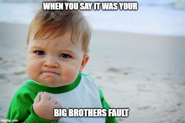 little lies |  WHEN YOU SAY IT WAS YOUR; BIG BROTHERS FAULT | image tagged in baby fist pump | made w/ Imgflip meme maker