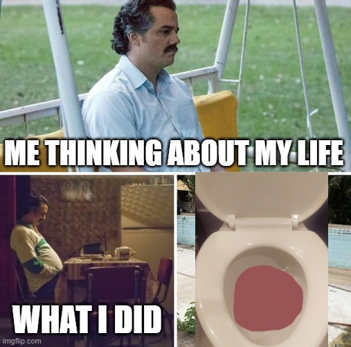 Sad Pablo Escobar | ME THINKING ABOUT MY LIFE; WHAT I DID | image tagged in memes,sad pablo escobar | made w/ Imgflip meme maker
