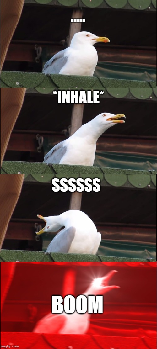 no one: creepers: | ..... *INHALE*; SSSSSS; BOOM | image tagged in memes,inhaling seagull | made w/ Imgflip meme maker