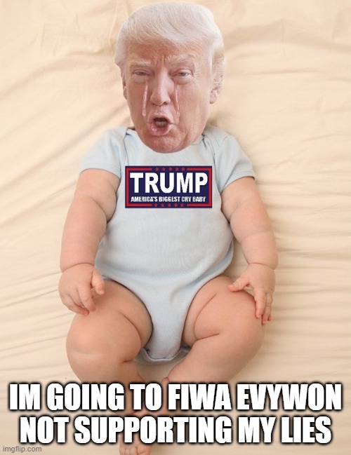 On the bright side, just a few more months of his bullshit | IM GOING TO FIWA EVYWON NOT SUPPORTING MY LIES | image tagged in crying trump baby,election 2020,maga,politics,memes,donald trump is an idiot | made w/ Imgflip meme maker