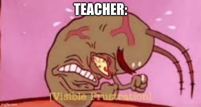 Visible Frustration | TEACHER: | image tagged in visible frustration | made w/ Imgflip meme maker