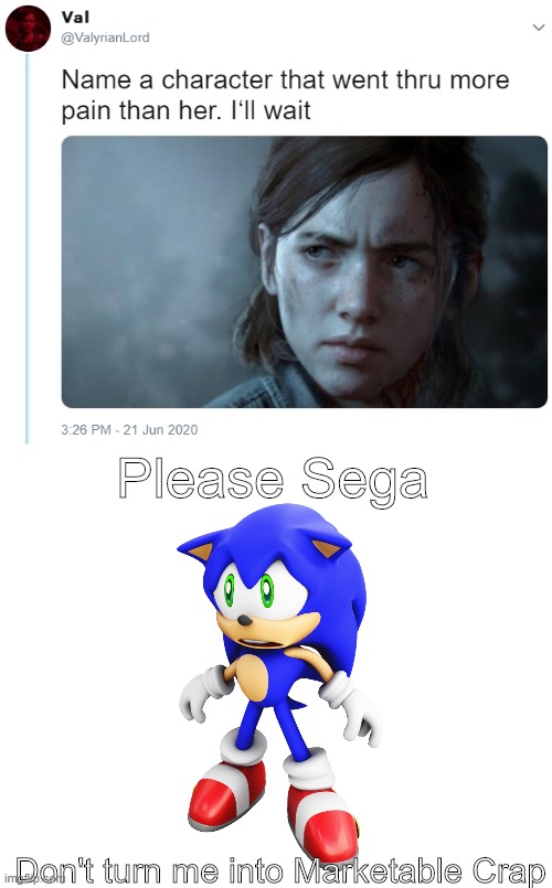 We've made sonic get tortured by Sega too much. Let's keep doing it. | Please Sega; Don't turn me into Marketable Crap | image tagged in name one character who went through more pain than her,please sega,memes,funny,sonic | made w/ Imgflip meme maker