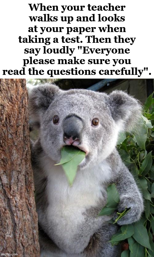 I had this happen to me and it was terrifying as a kid. |  When your teacher walks up and looks at your paper when taking a test. Then they say loudly "Everyone please make sure you read the questions carefully". | image tagged in memes,surprised koala,test,exams,unhelpful teacher | made w/ Imgflip meme maker