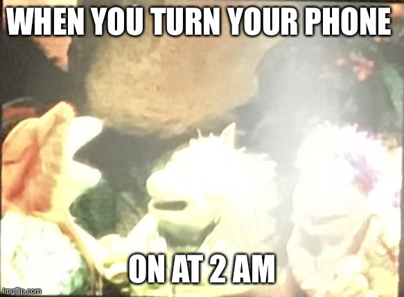 LoL. A person told me to do this in the comments.? | WHEN YOU TURN YOUR PHONE; ON AT 2 AM | image tagged in holly gobo | made w/ Imgflip meme maker