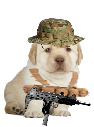 GDF Queires Mercenary Blank Meme Template