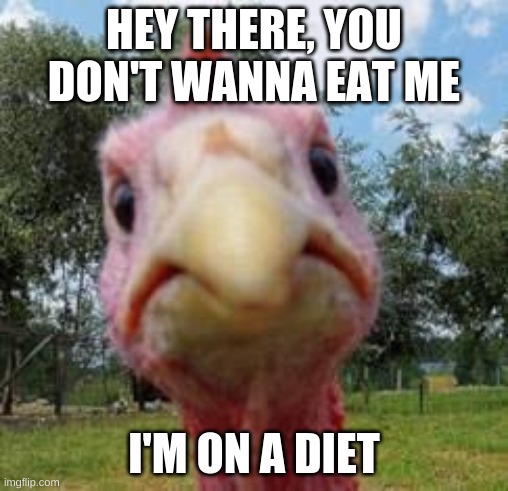 turkey | HEY THERE, YOU DON'T WANNA EAT ME; I'M ON A DIET | image tagged in turkey | made w/ Imgflip meme maker