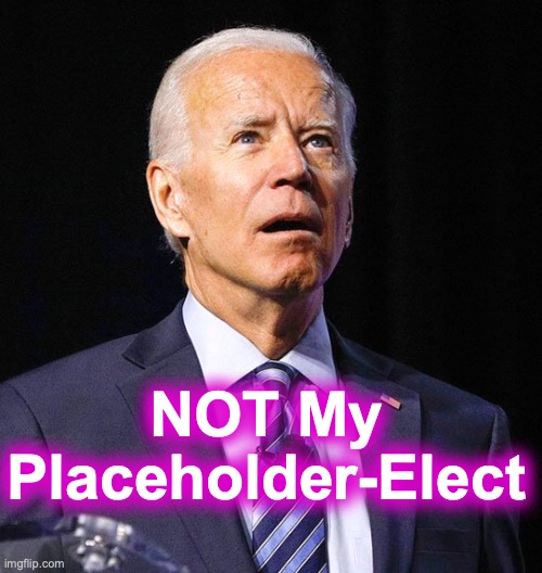 Let's admit it, he's just a place-setting in a greasy-spoon diner | NOT My Placeholder-Elect | image tagged in joe biden | made w/ Imgflip meme maker