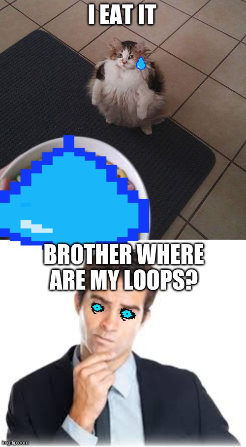 Loops Cat | I EAT IT; BROTHER WHERE ARE MY LOOPS? | image tagged in loops brother | made w/ Imgflip meme maker