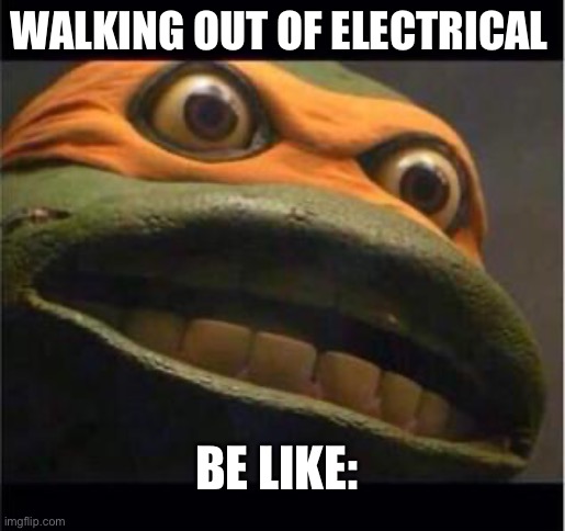 Scared | WALKING OUT OF ELECTRICAL; BE LIKE: | image tagged in teen age mutant ninja turtle | made w/ Imgflip meme maker