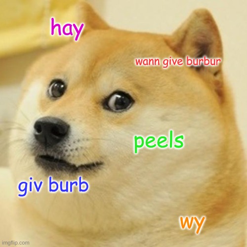Doge Meme | hay; wann give burbur; peels; giv burb; wy | image tagged in memes,doge | made w/ Imgflip meme maker
