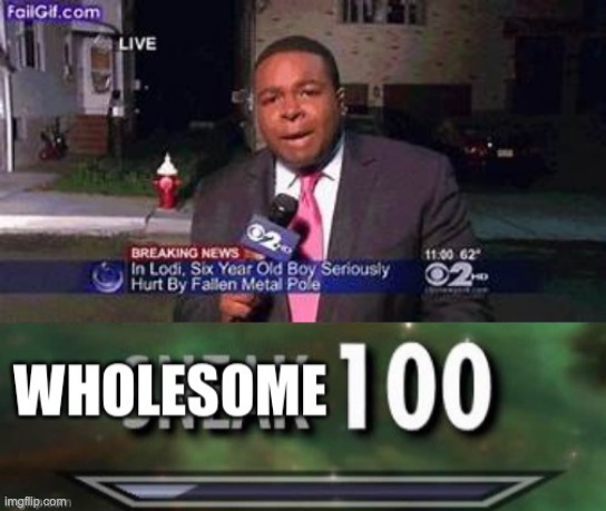 Wholesome ness 100 | image tagged in wholesome 100 | made w/ Imgflip meme maker
