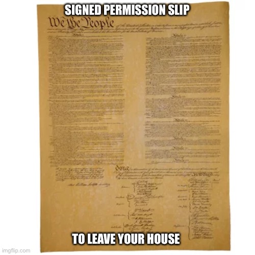 We the people | SIGNED PERMISSION SLIP; TO LEAVE YOUR HOUSE | image tagged in freedom | made w/ Imgflip meme maker