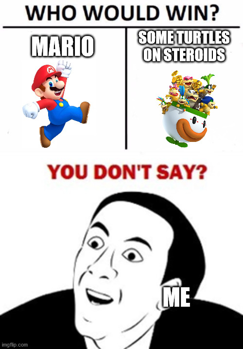 mario vs ramdom #1 | MARIO; SOME TURTLES ON STEROIDS; ME | image tagged in memes,who would win | made w/ Imgflip meme maker