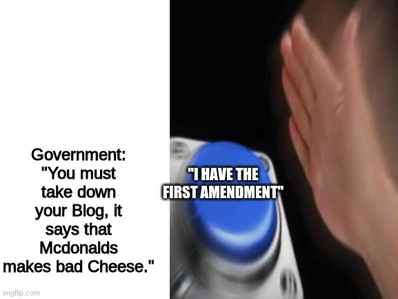 eh | Government: "You must take down your Blog, it says that Mcdonalds makes bad Cheese."; "I HAVE THE FIRST AMENDMENT" | image tagged in the constitution | made w/ Imgflip meme maker