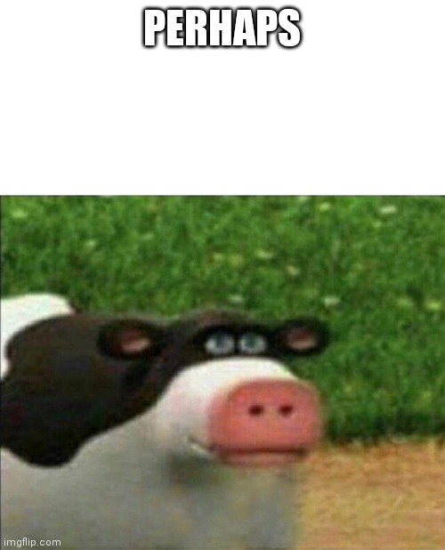 Perhaps cow | PERHAPS | image tagged in perhaps cow | made w/ Imgflip meme maker