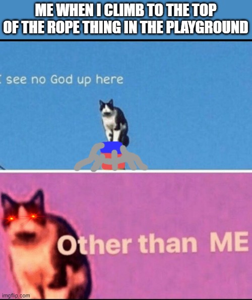 I see no god up here other than me | ME WHEN I CLIMB TO THE TOP OF THE ROPE THING IN THE PLAYGROUND | image tagged in i see no god up here other than me | made w/ Imgflip meme maker