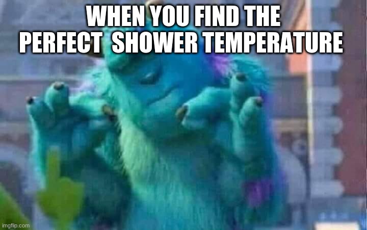 Sully shutdown | WHEN YOU FIND THE PERFECT  SHOWER TEMPERATURE | image tagged in sully shutdown | made w/ Imgflip meme maker