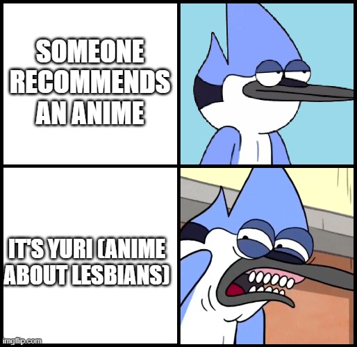 My taste in anime | SOMEONE RECOMMENDS AN ANIME; IT'S YURI (ANIME ABOUT LESBIANS) | image tagged in mordecai disgusted | made w/ Imgflip meme maker
