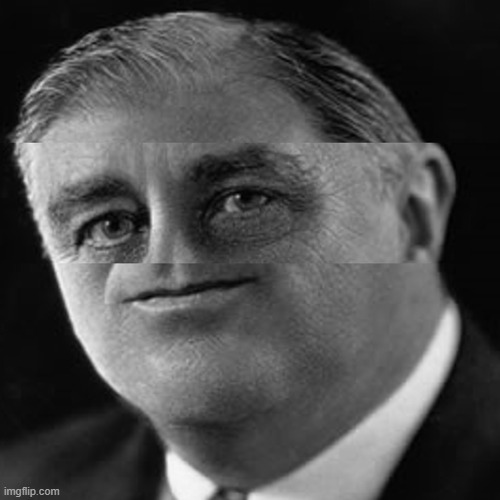 Squished FDR | image tagged in squished fdr | made w/ Imgflip meme maker