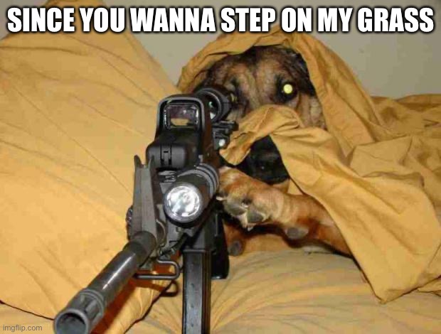 Doggie Hate'in on Kitten | SINCE YOU WANNA STEP ON MY GRASS | image tagged in doggie hate'in on kitten | made w/ Imgflip meme maker