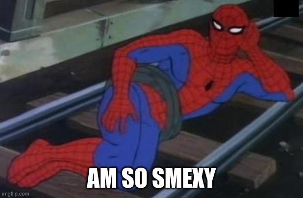 Sexy Railroad Spiderman Meme | AM SO SMEXY | image tagged in memes,sexy railroad spiderman,spiderman | made w/ Imgflip meme maker