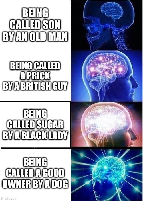Expanding Brain Meme | BEING CALLED SON BY AN OLD MAN; BEING CALLED A PRICK BY A BRITISH GUY; BEING CALLED SUGAR BY A BLACK LADY; BEING CALLED A GOOD OWNER BY A DOG | image tagged in memes,expanding brain | made w/ Imgflip meme maker