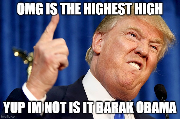 Donald Trump | OMG IS THE HIGHEST HIGH; YUP IM NOT IS IT BARAK OBAMA | image tagged in donald trump | made w/ Imgflip meme maker