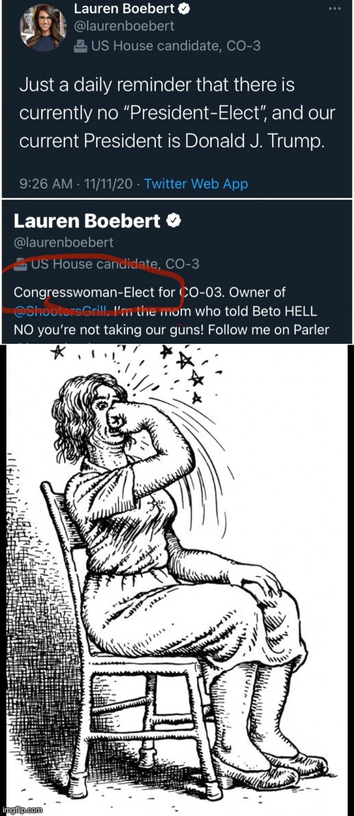 Hilarious self-own. | image tagged in self-own,republicans are unfathomably stupid,lauren boebert,president-elect,2020 elections | made w/ Imgflip meme maker