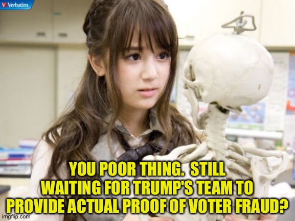 Looooong wait... | YOU POOR THING.  STILL WAITING FOR TRUMP'S TEAM TO PROVIDE ACTUAL PROOF OF VOTER FRAUD? | image tagged in oku manami | made w/ Imgflip meme maker