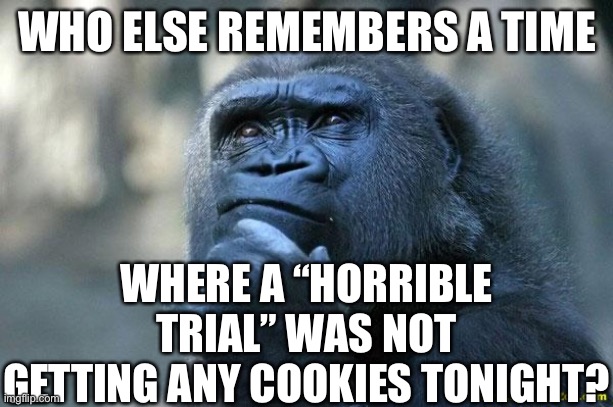 This is true | WHO ELSE REMEMBERS A TIME; WHERE A “HORRIBLE TRIAL” WAS NOT GETTING ANY COOKIES TONIGHT? | image tagged in deep thoughts,memes,funny,kids,cookies,trials | made w/ Imgflip meme maker