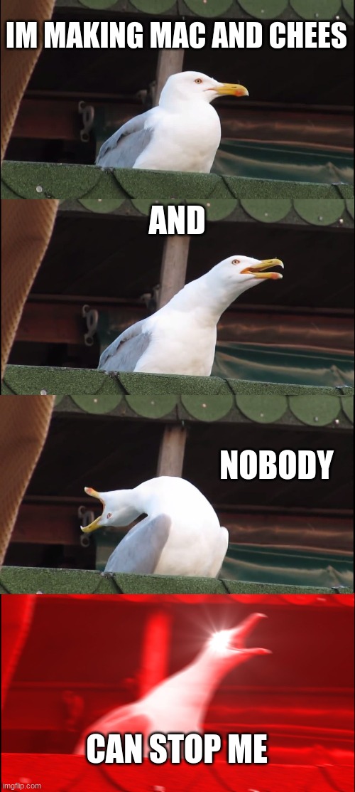 Inhaling Seagull Meme | IM MAKING MAC AND CHEES; AND; NOBODY; CAN STOP ME | image tagged in memes,inhaling seagull | made w/ Imgflip meme maker