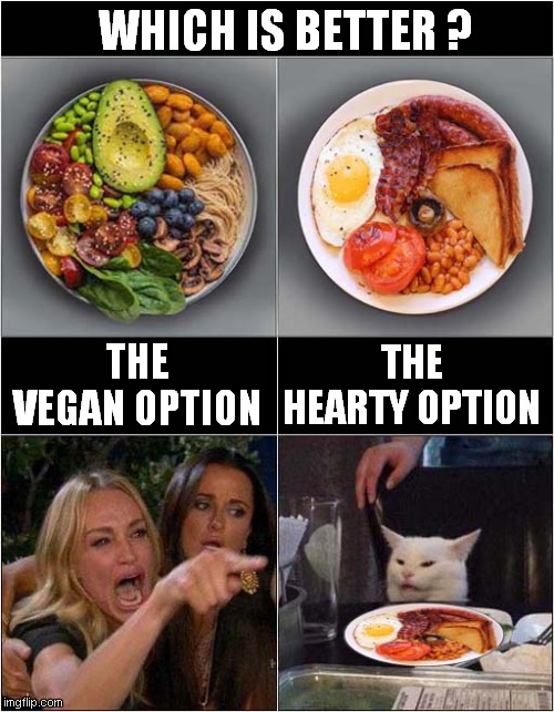 Vegan Vs Hearty Meal | WHICH IS BETTER ? THE HEARTY OPTION; THE VEGAN OPTION | image tagged in vegan,woman yelling at cat,frontpage | made w/ Imgflip meme maker