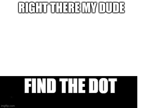 Blank White Template | RIGHT THERE MY DUDE | image tagged in blank white template | made w/ Imgflip meme maker