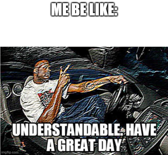 UNDERSTANDABLE, HAVE A GREAT DAY | ME BE LIKE: | image tagged in understandable have a great day | made w/ Imgflip meme maker