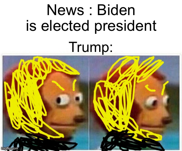 This is realistic | News : Biden is elected president; Trump: | image tagged in memes,monkey puppet | made w/ Imgflip meme maker