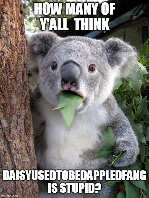 me and her were talking, and she said to ask you guys if she was stupid | HOW MANY OF Y'ALL  THINK; DAISYUSEDTOBEDAPPLEDFANG IS STUPID? | image tagged in memes,surprised koala | made w/ Imgflip meme maker