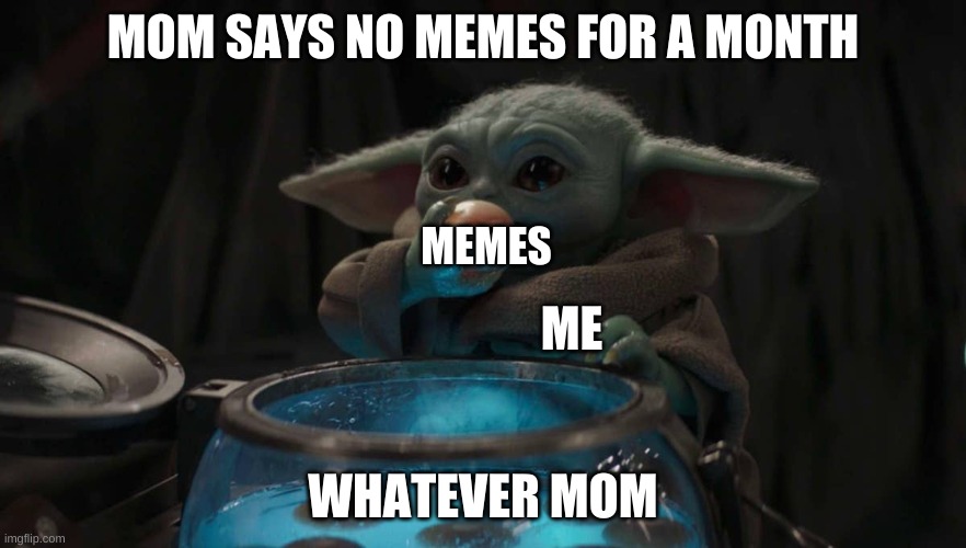 what was that ill do it anyway | MOM SAYS NO MEMES FOR A MONTH; MEMES; ME; WHATEVER MOM | image tagged in what was that ill do it anyway | made w/ Imgflip meme maker