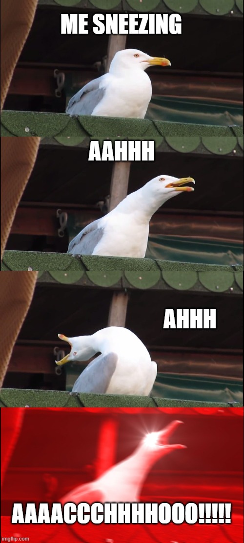 Inhaling Seagull | ME SNEEZING; AAHHH; AHHH; AAAACCCHHHHOOO!!!!! | image tagged in memes,inhaling seagull | made w/ Imgflip meme maker